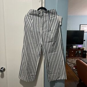 Brand new cropped pants